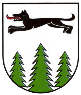 TSV Eintracht Wolfshagen